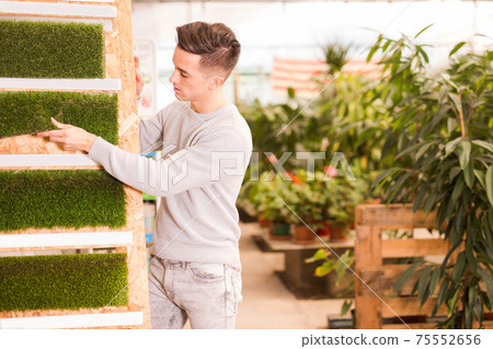 Man florist working in sunny orangery full of flowers 75552656
