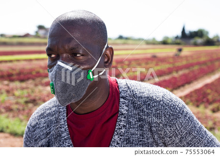 African american farmer in breathing valve respirator 75553064