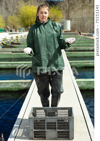 Woman worker of trout fish farm 75553145
