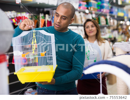 Man choosing cage for bird in shop Man choosing cage for bird in shop 75553642