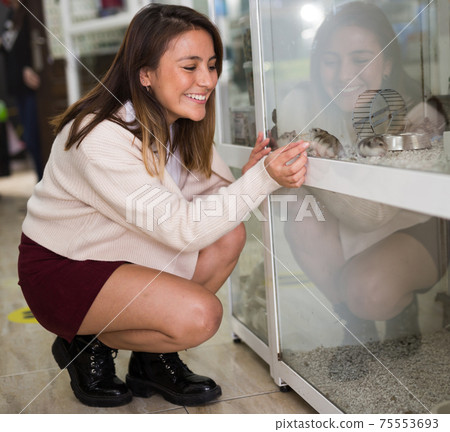 Positive woman looking at hamsters in store 75553693
