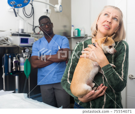 Woman holds her beloved dog chihuahua in her arms after being examined by a veterinarian Woman holds her beloved dog chihuahua in her arms after being examined by a veterinarian 75554071