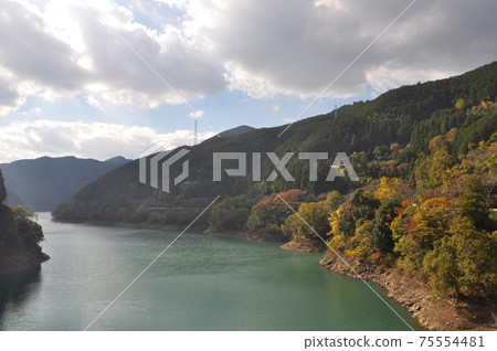 Aridagawa / Autumn 75554481