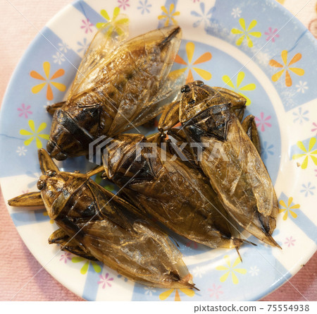 Fried Cockroaches on a Plate Being Sold as an Exotic Snack Fried Cockroaches on a Plate Being Sold as an Exotic Snack 75554938