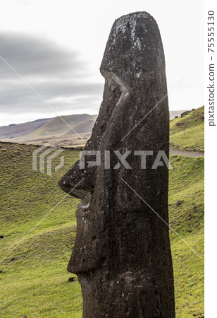Moai Statues on Easter Island at the Rano Raraku Quarry Moai Statues on Easter Island at the Rano Raraku Quarry 75555130