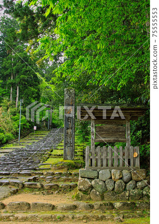 Hakusan Heisenji-Moss Temple Hakusan Heisenji-Moss Temple 75555553