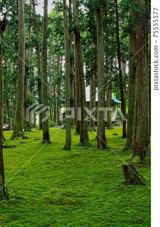 Hakusan Heisenji-Moss Temple Hakusan Heisenji-Moss Temple 75555577