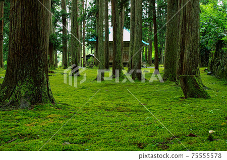 白山黑森寺摩斯寺 75555578