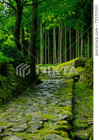 白山黑森寺摩斯寺 白山黑森寺摩斯寺 75555581