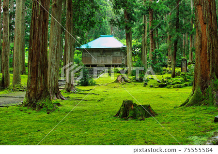 白山黑森寺摩斯寺 白山黑森寺摩斯寺 75555584