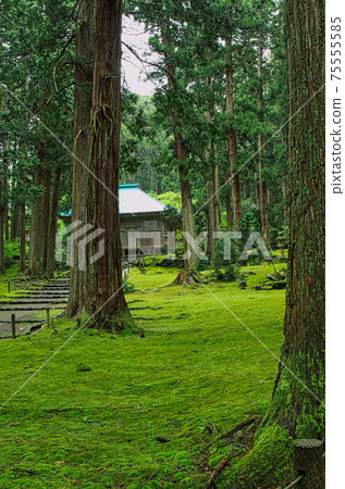白山黑森寺摩斯寺 白山黑森寺摩斯寺 75555585