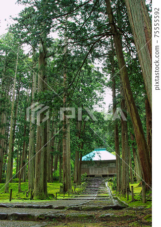 Hakusan Heisenji-Moss Temple Hakusan Heisenji-Moss Temple 75555592