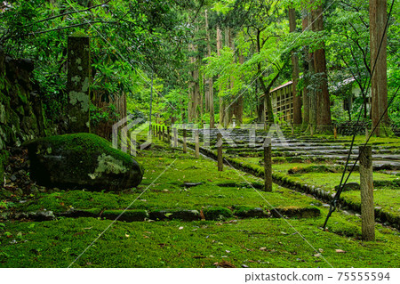 Hakusan Heisenji-Moss Temple 75555594