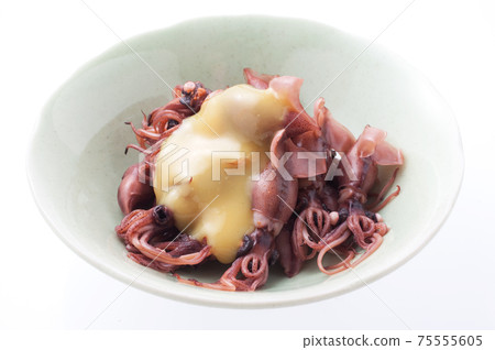 螢火蟲魷魚 75555605