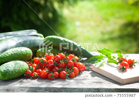 Harvest of zucchini, cucumbers and tomatoes, still life on natural garden background, space for text Harvest of zucchini, cucumbers and tomatoes, still life on natural garden background, space for text 75555987