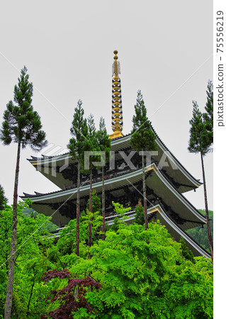 Echizen Katsuyama Castle / Echizen Daibutsu 75556219