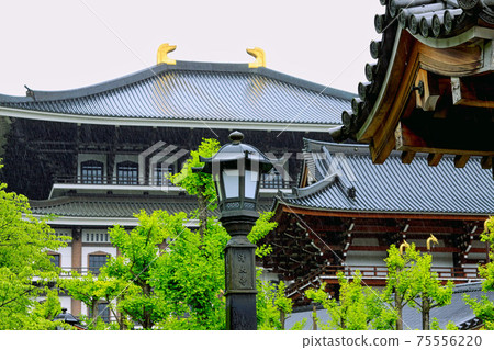 Echizen Katsuyama Castle / Echizen Daibutsu 75556220