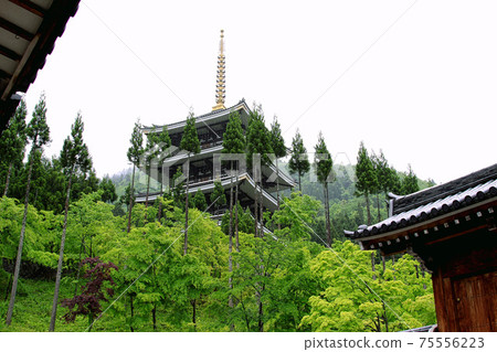 Echizen Katsuyama Castle / Echizen Daibutsu 75556223