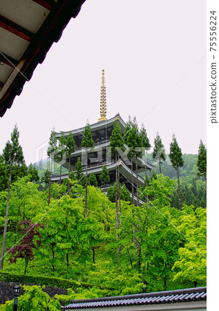 Echizen Katsuyama Castle / Echizen Daibutsu 75556224