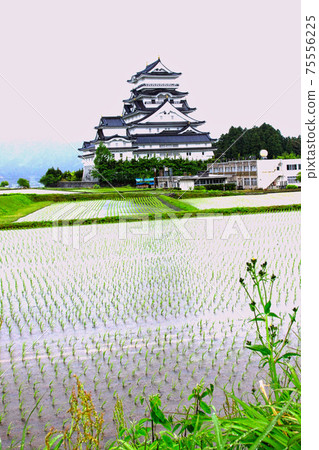 Echizen Katsuyama Castle / Echizen Daibutsu 75556225
