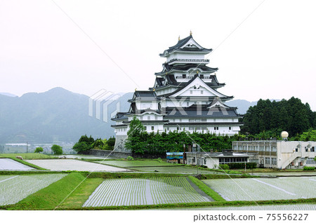 Echizen Katsuyama Castle / Echizen Daibutsu 75556227