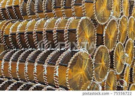 魚陷阱 魚陷阱 75556722