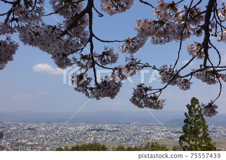 米澤市大成山公園的全景 75557439