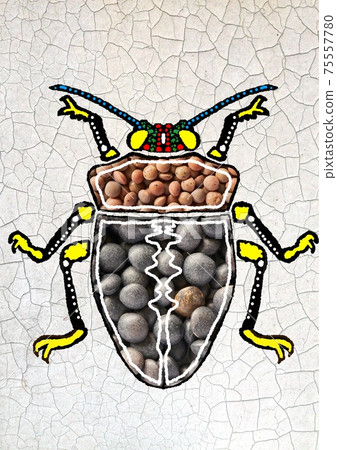 設計昆蟲4 75557780