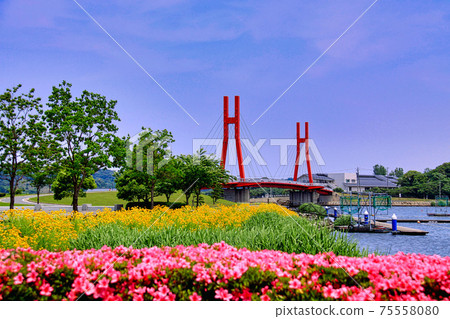 Lake Kitaga 75558080