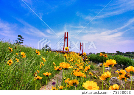 基塔加湖 75558098