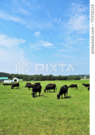 Japanese beef Japanese beef 75558128