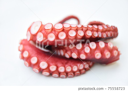Octopus isolated on white background, Boiled octopus tentacles seafood squid cuttlefish 75558723