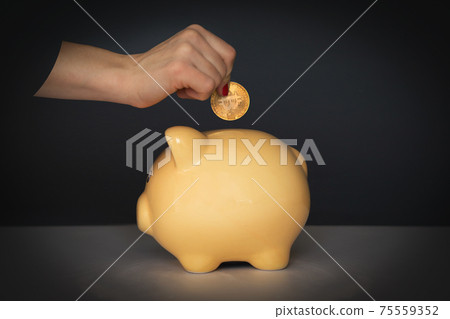 Crop woman putting coin in piggy bank Crop woman putting coin in piggy bank 75559352