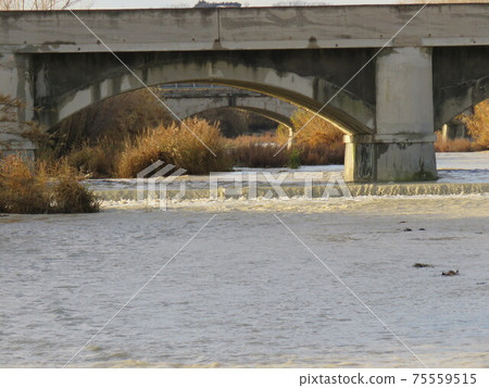 Bridge Bridge 75559515