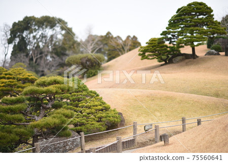 水前寺上十園 水前寺上十園 75560641