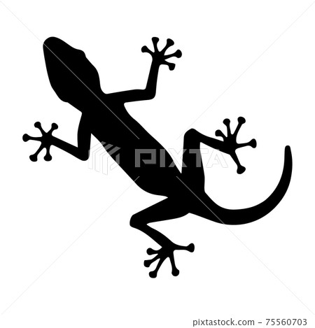 Black silhouette creeping of lizard on white background. Vector Illustration 75560703