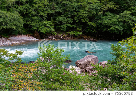 Beautiful view of narrow mountain river in summer Beautiful view of narrow mountain river in summer 75560798