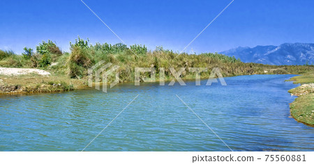 Babai River, Royal Bardia National Park, Nepal 75560881