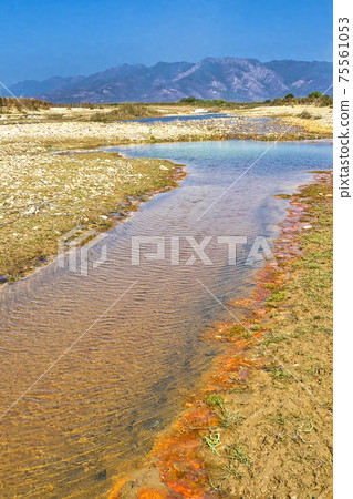 Babai River, Royal Bardia National Park, Nepal Babai River, Royal Bardia National Park, Nepal 75561053