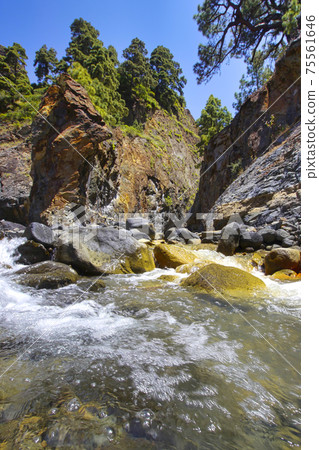 Barranco de Rivanceras, Caldera de Taburiente National Park, Spain Barranco de Rivanceras, Caldera de Taburiente National Park, Spain 75561646