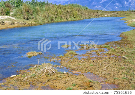 Babai River, Royal Bardia National Park, Nepal Babai River, Royal Bardia National Park, Nepal 75561656