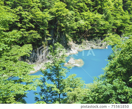Fresh green and blue river in Dakigaeri Valley, Semboku City, Akita Prefecture 75561850