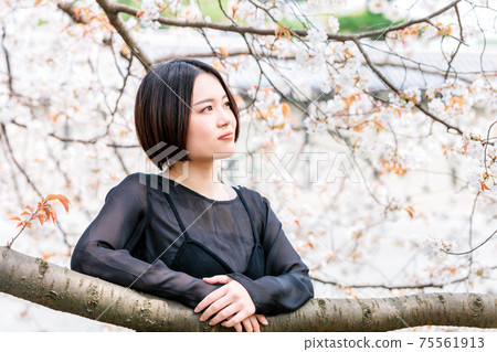 Young woman looking at cherry blossoms 75561913