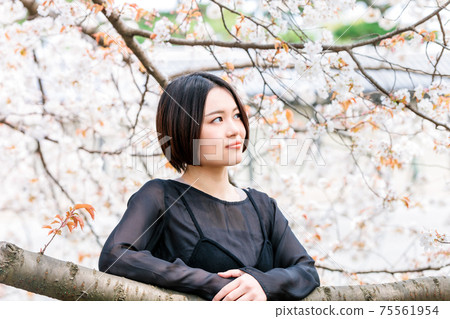 Young woman looking at cherry blossoms 75561954