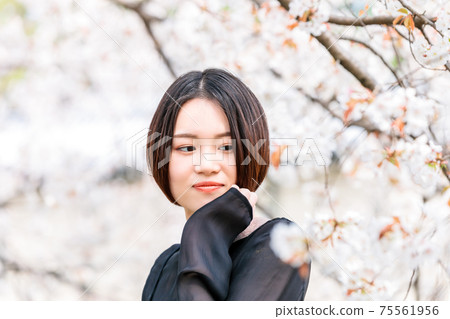 Young woman looking at cherry blossoms 75561956