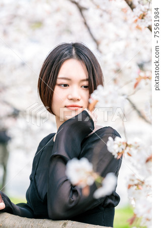 Young woman looking at cherry blossoms 75561984