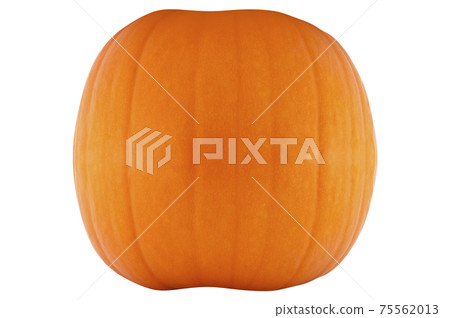 fresh pumpkin isolated fresh pumpkin isolated 75562013