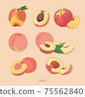 Hand drawn illustration of multiple peaches and sliced fruits 75562840