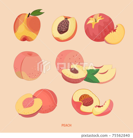 多個水蜜桃及切片水果手繪插畫 75562840