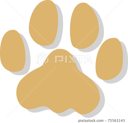 米色的動物腳印與陰影 75563143